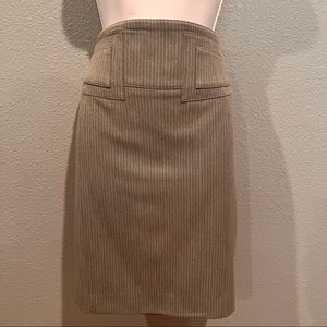 NWT EXPRESS pinstriped skirt